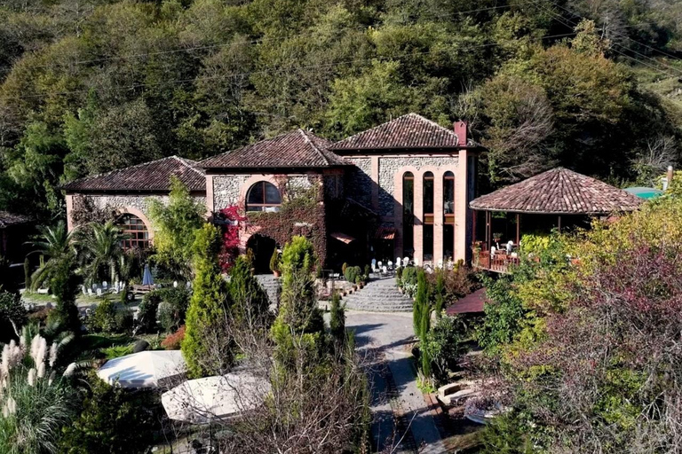 Adjara: Vineyard Tour with Wine Tasting and Lunch