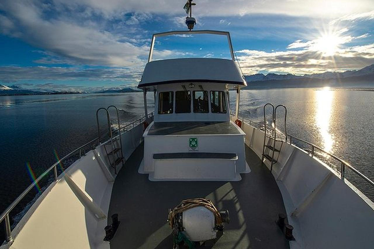 Beagle Channel on yacht with minitrekking