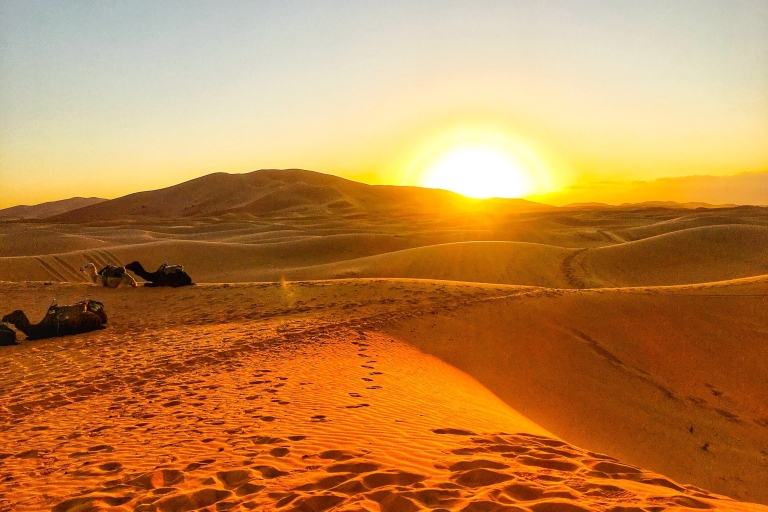 Agadir ou Taghazout : Visite guidée de 2 jours dans le désert de Zagora