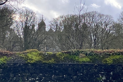 Belfast: Prywatna wycieczka na ląd do Grobli Olbrzyma
