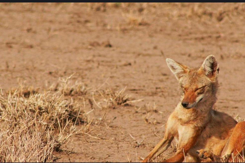 From Addis Ababa: Gambela 3-Day Tour with Flights