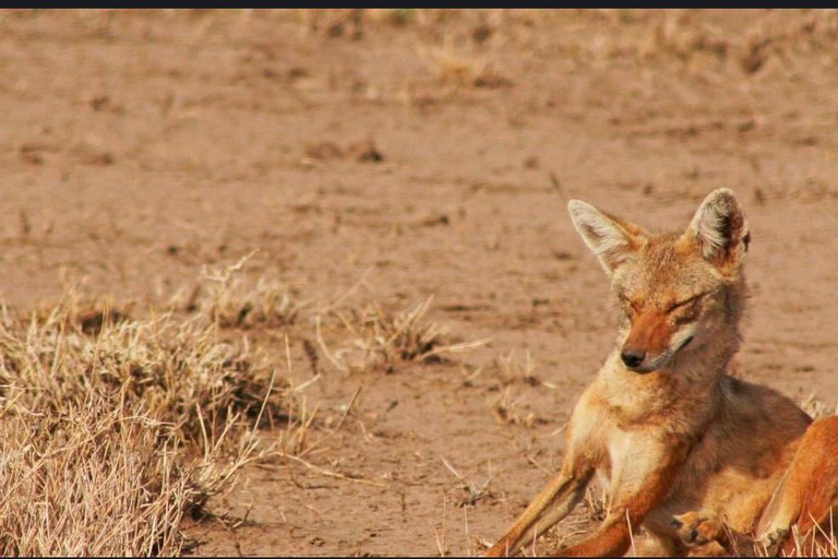 From Addis Ababa: Gambela 3-Day Tour with Flights