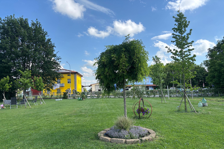 Modena: Balsamic Vinegar Tour and Tasting