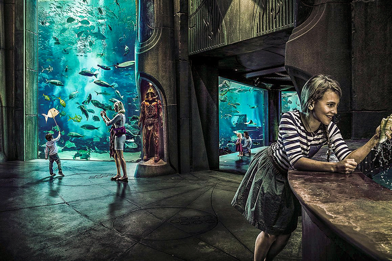 Dubai: Biglietto d&#039;ingresso per l&#039;acquario Lost Chambers