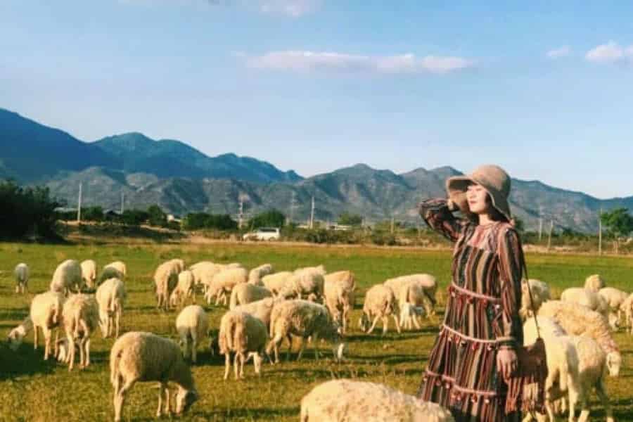 Nha Trang Ninh Thuan: Korallenküste, Weingärten, Suoi Tien. Foto: GetYourGuide Nha Trang Ninh Thuan: Korallenküste, Weingärten, Suoi Tien. Foto: GetYourGuide