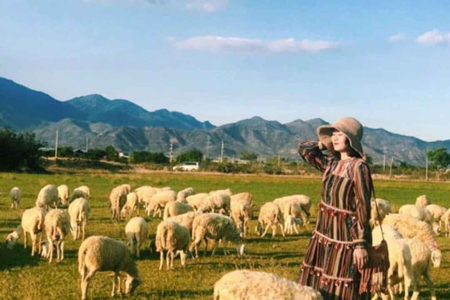 Nha Trang Ninh Thuan: Coral Coast, Grape Gardens, Suoi Tien