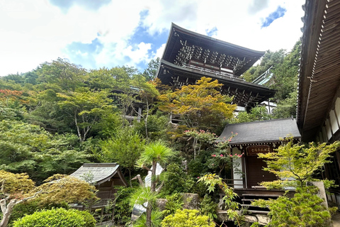 Hiroshima & Miyajima 6.5h Guided Tour – Dome, Park & Shrine