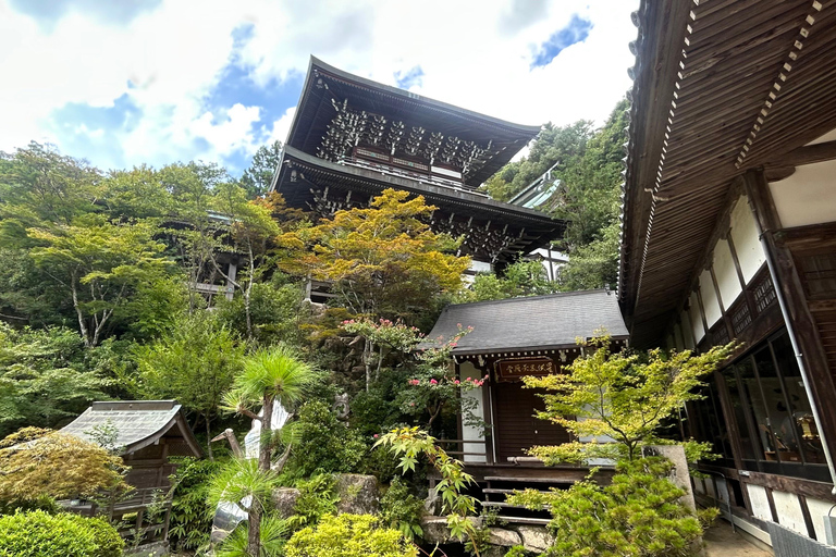 Hiroshima & Miyajima 6.5h Guided Tour – Dome, Park & Shrine