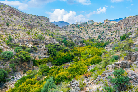 Green Mountains Tour - Nizwa &amp; Jebel AkhdarGröna bergen-tur - Nizwa &amp; Jebel Akhdar