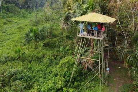 4-Day Exploration of the Manu Amazon – Departure from Cusco