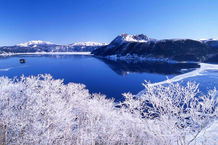 Sapporo: Hokkaido Snowy Wilderness Day Tour