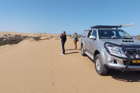 Walvis Bay: Excursión de Observación de Aves y Fotografía