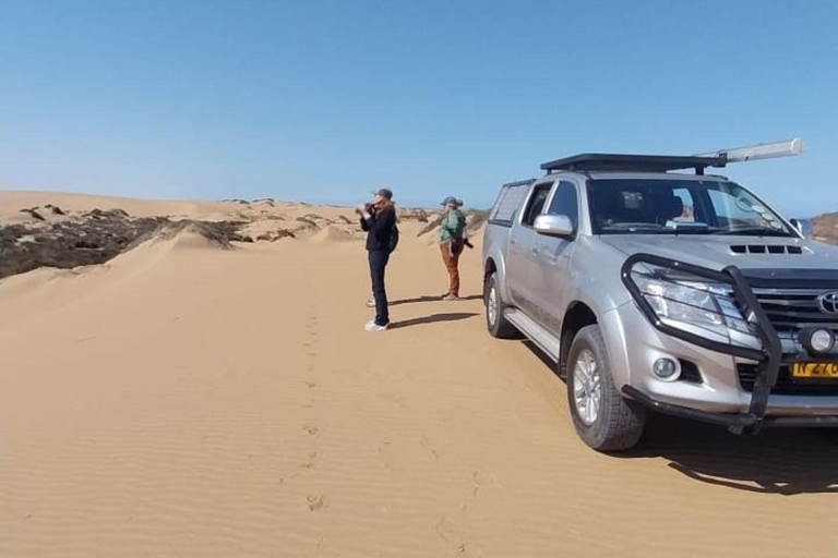 Walvis Bay: Vogels kijken en fotograferen