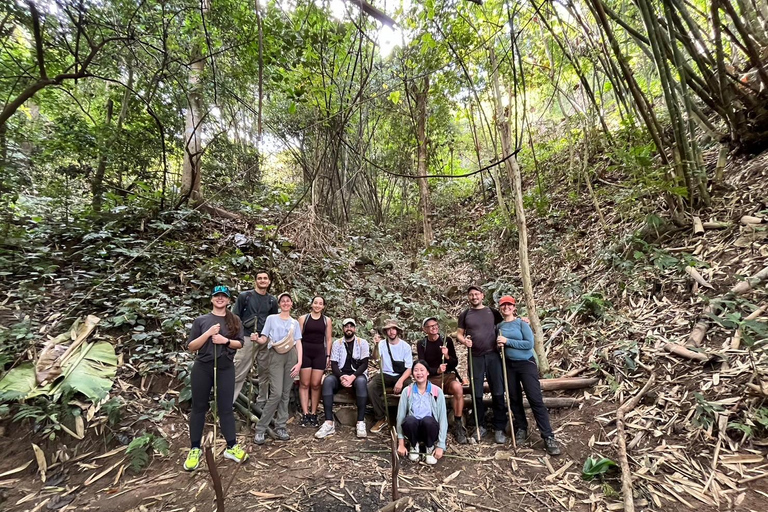 Chiang Rai: Jungle Adventure-Group Trekking & Bamboo Cooking