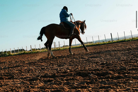 riding a horses in the beach in Tangier