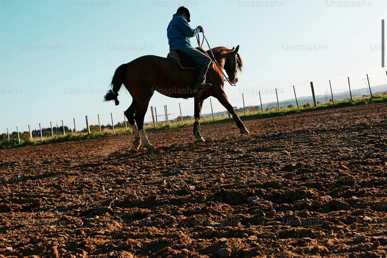 riding a horses in the beach in Tangier