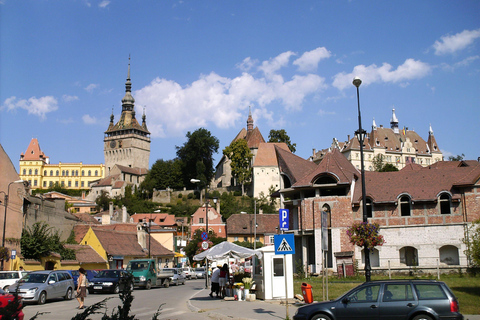 Brasov: Sighisoara Day Trip with Walking Tour