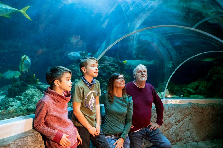 Spire : Visite des coulisses de SEA LIFE