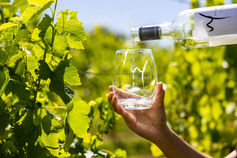 La Gold Coast: visite d'une journée de vignobles