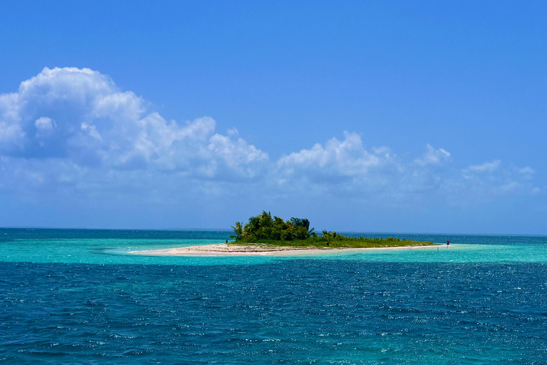 Escursione all inclusive negli isolotti del Grand Cul de Sac MarinEscursione all inclusive alle isolette del Grand Cul de Sac Marin