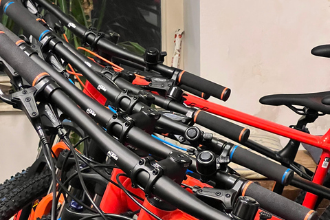 Bled: Mountain Bike Rental