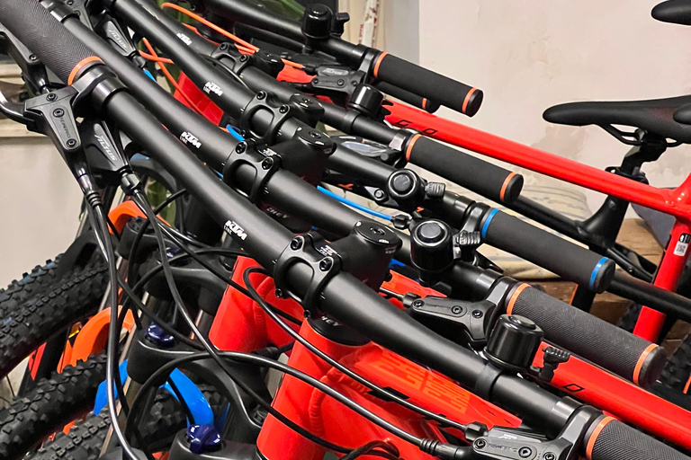 Bled: Mountain Bike Rental