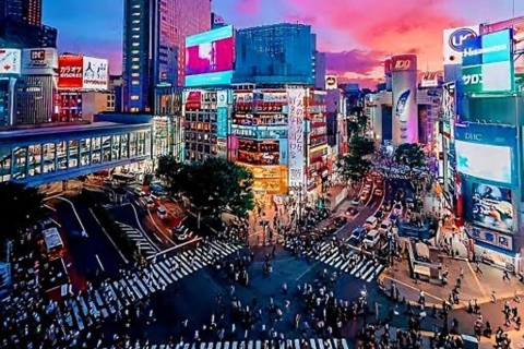 Całodniowa prywatna wycieczka po Tokio z anglojęzycznym przewodnikiem