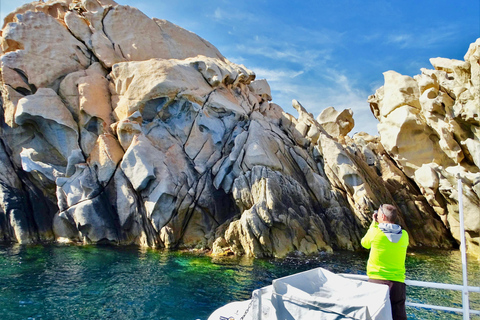 Boat Trip Halfday Boat with Submarine view natural coast Boat Trip Visit, Propriano Half day visit reserve natural