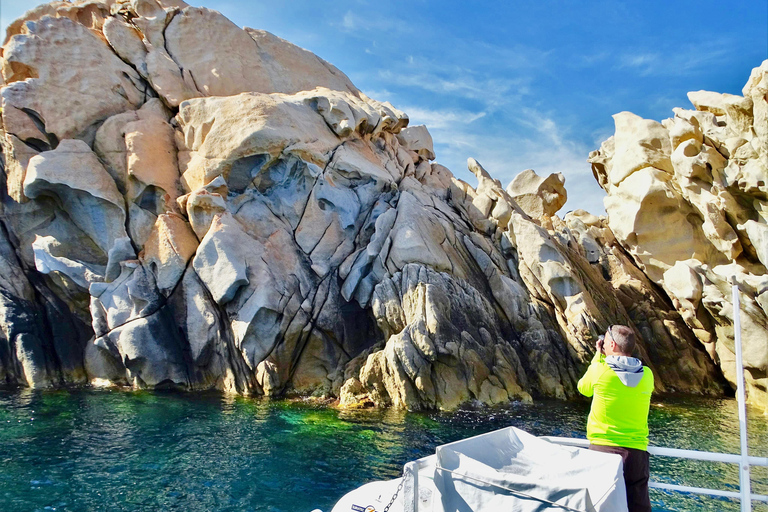 Boat Trip Halfday Boat with Submarine view natural coast Boat Trip Visit, Propriano Half day visit reserve natural