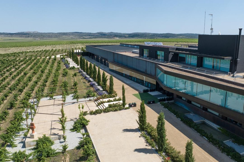 Cáceres: Bodegas Habla