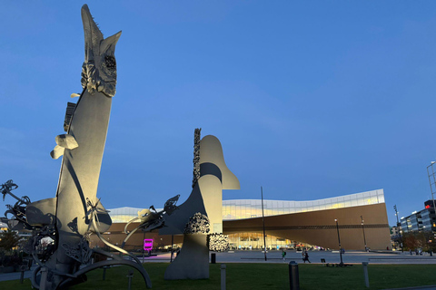 Glorious Helsinki Illuminated: Private Evening Driving Tour