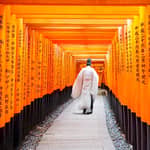 Kyoto/Osaka: tour in autobus a Nara, Fushimi Inari Taisha e Arashiyama