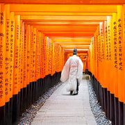 Kyoto/Osaka: Nara, Fushimi Inari Taisha, Arashiyama Bus Tour Kyoto/Osaka: Nara, Fushimi Inari Taisha, Arashiyama Bus Tour
