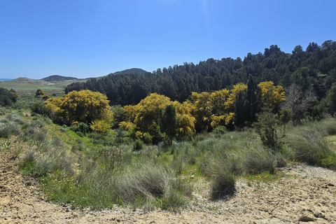 VIP Extreme Quad Bike Ride into Hammamet Mountain