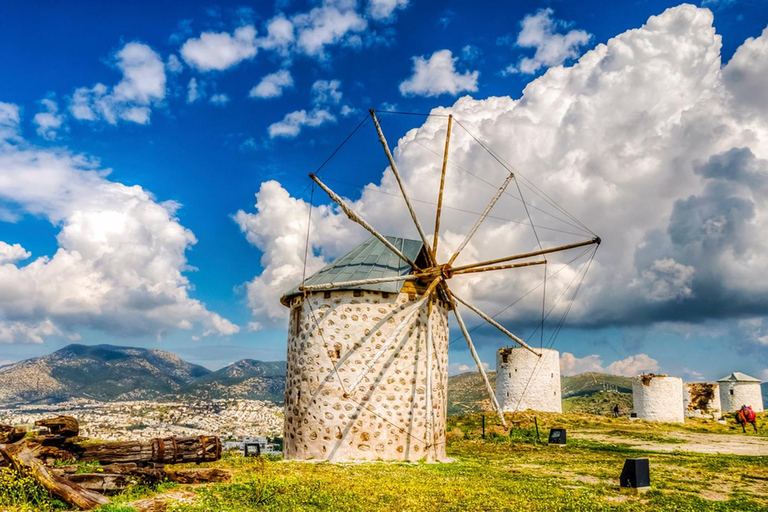 From Bodrum Port: Full-Day Tour with Castle and Mausoleum