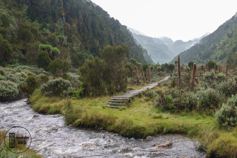 OUGANDA RWENZORI - WATERFALLS &amp; MONTANE ALLURE | Randonnée de 6 jours