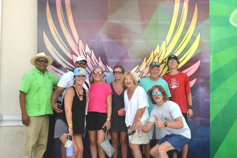 Puerto Plata: Zipline, Damajagua Falls, and City Tour