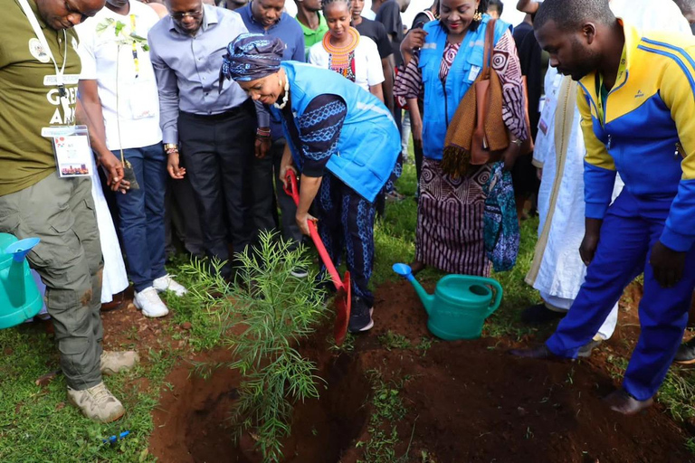 Nairobi: Tree Planting Experience with Hotel Pickup