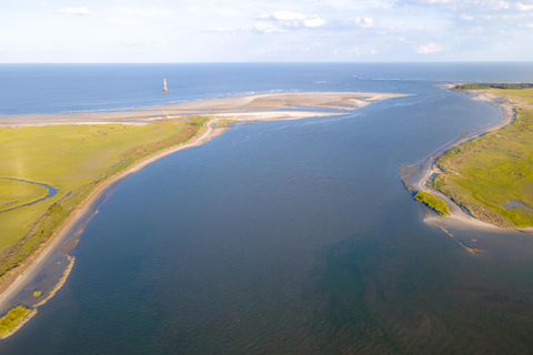 Charleston/Folly Beach: Sandbars & Swimming (BYOB) 3 Hour Private Trip