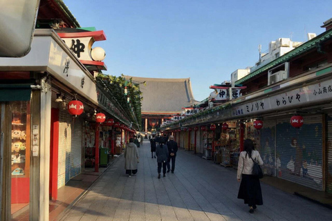Tokyo: Asakusa Heritage Walk, Skytree & Sumida with Lunch