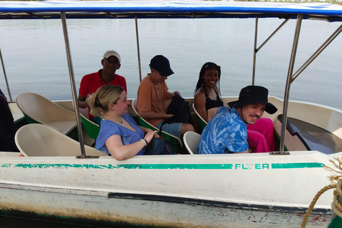 Kochi: Sightseeing Tuk-Tuk Tour With Pickup From Cruise Ship