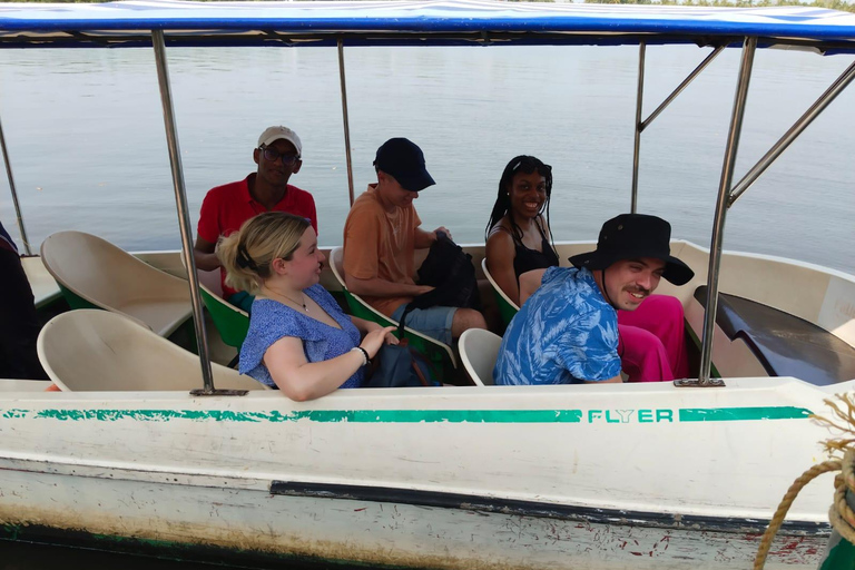 Kochi : Visite touristique en tuk-tuk avec prise en charge depuis le bateau de croisière