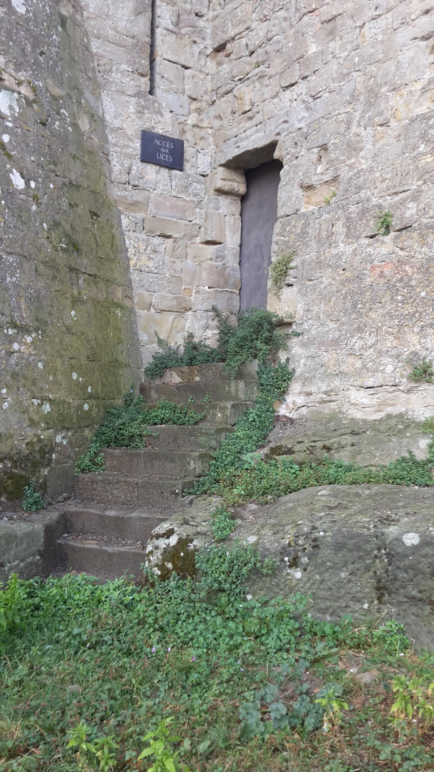 Carcassonne: 1,5-stündiger Rundgang durch die mittelalterliche Stadt