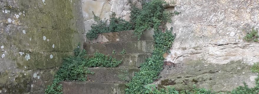 Carcassonne : visite guidée à pied de 1h30 de la cité médiévale