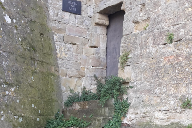 Carcassonne: 1h30 Walking Tour of the Medieval City