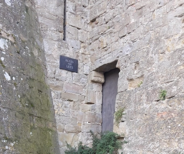 Carcassonne: 1h30 Walking Tour of the Medieval City