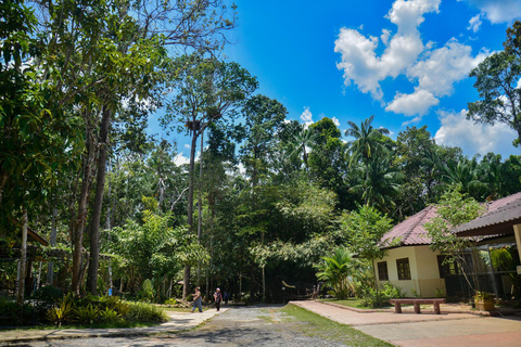 Fuga particular de Krabi: Piscina Esmeralda, Fontes Termais e Caverna do TigreVan particular