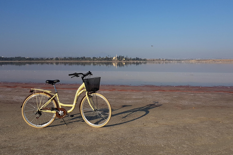 Larnaca: Salt Lake & Cultural Highlights Guided Bike Tour