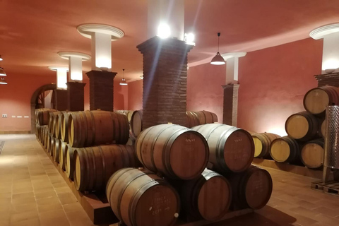 Ronda, Málaga: Winery Tour with Wine Tasting and Tapas