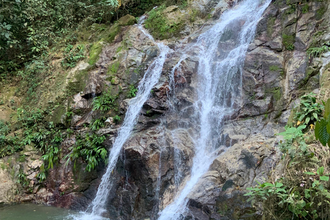 Minca: Varietals Coffee Taste & Marinka Waterfall